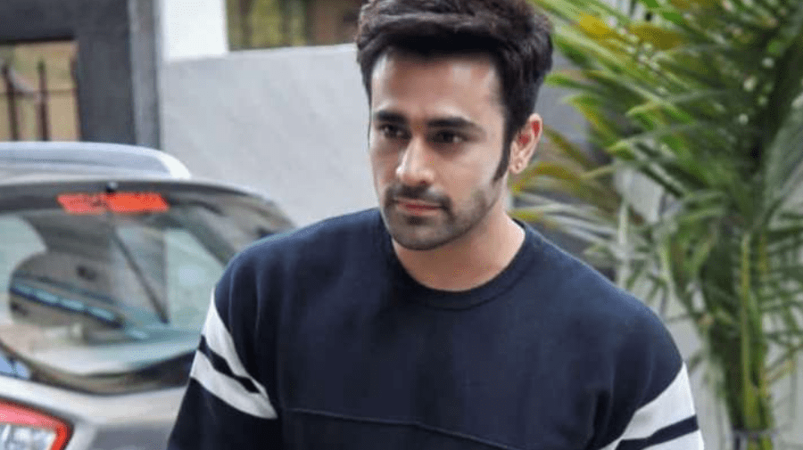 Popular Tv Actor Pearl V. Puri Has Been Arrested
