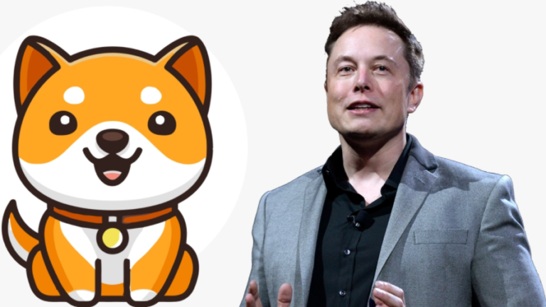 Elon Musk Brings Baby Doge A New Cryptocurrency